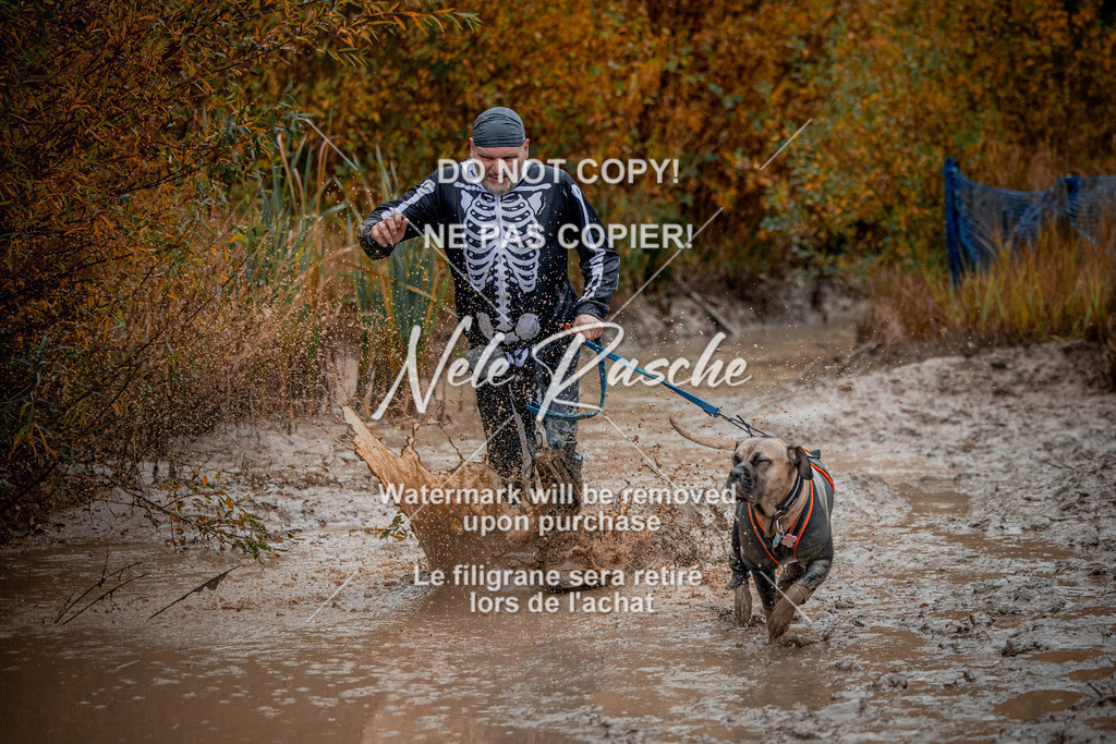 nelerasche_Creepy2025_Sa1400-Ende_370 | nelerasche