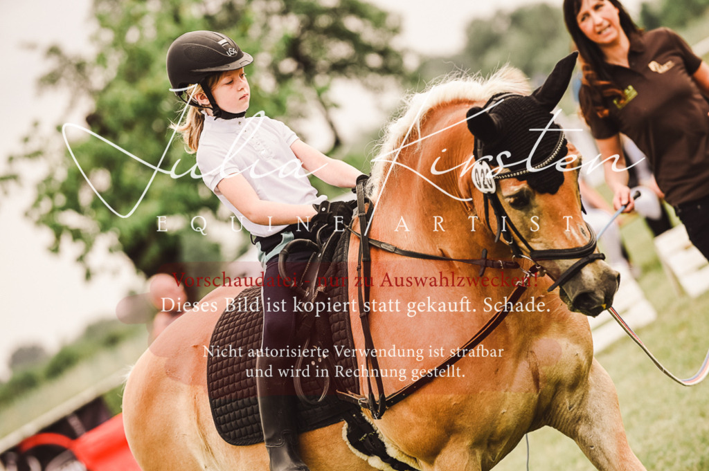 DSC_5207 | Pferde- und Turnierfotografie in Westsachsen. Pferdeportraits, Auftragszeichnungen und intuitive Kunst.