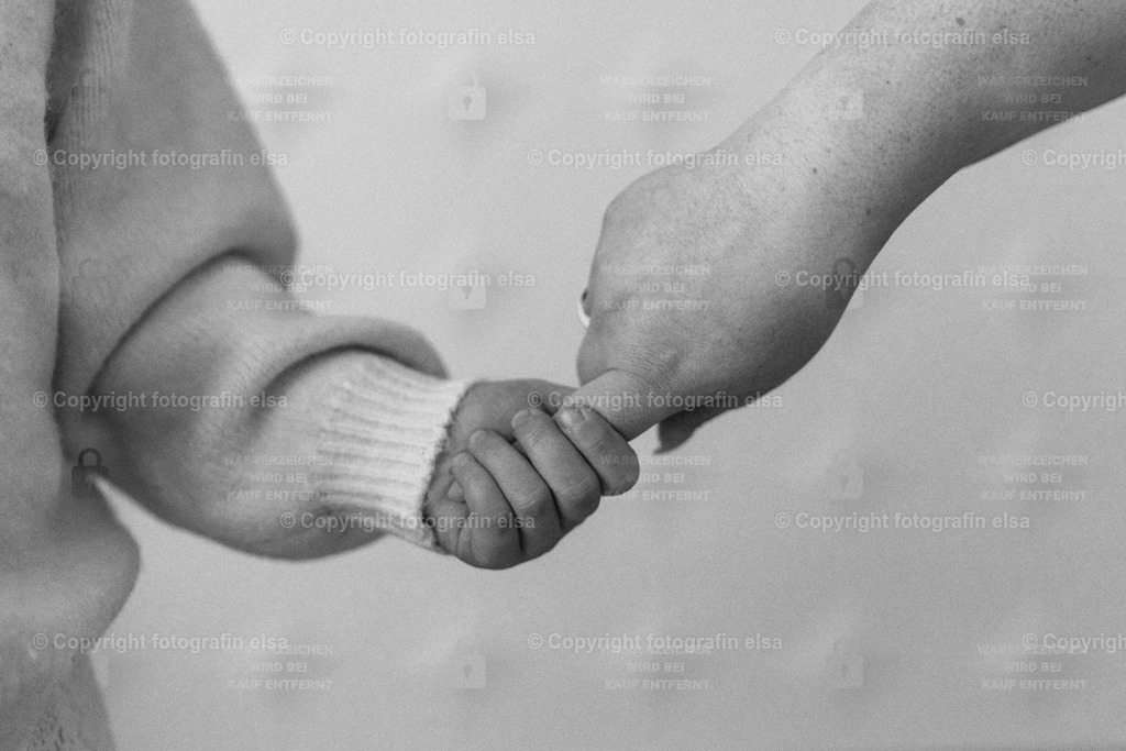 DSC02753 | fotografinelsa