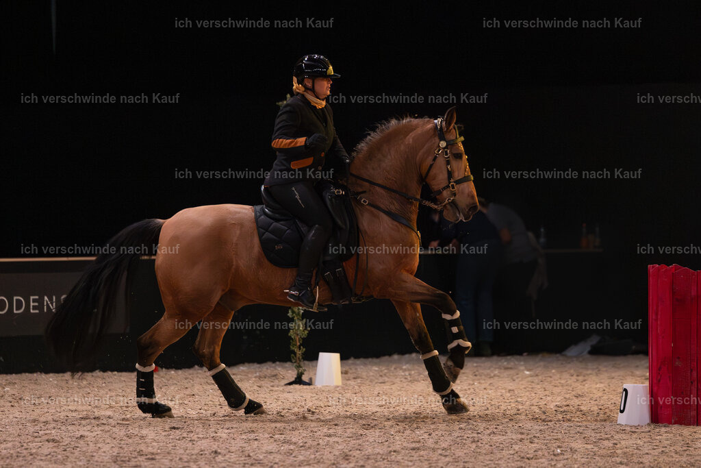 JoseraCup-224 | working equitationturnier fotograf videograf stoibphotography marixx film working equitation deutschland reitsport turnierfotografie eventfotografie equestrian events