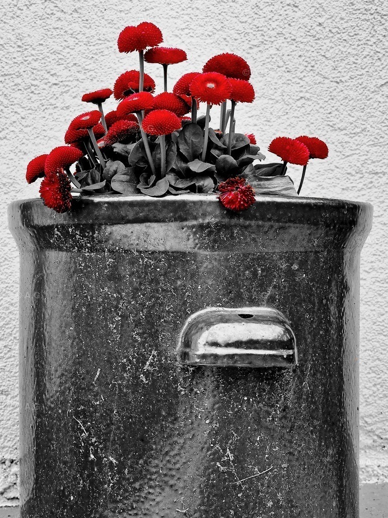 20220421_173526 | aileen-glaeser - Realisiert mit Pictrs.com