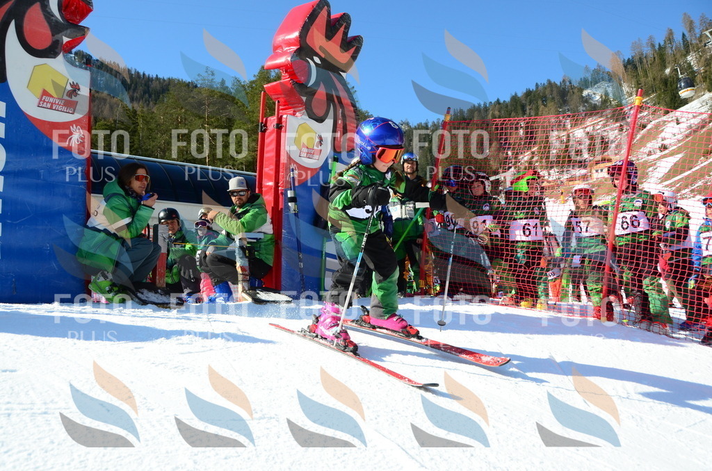 C4983 | holidayphoto