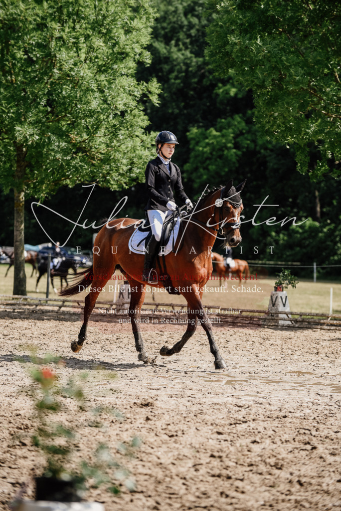 DSC_0445 | Pferde- und Turnierfotografie in Westsachsen. Pferdeportraits, Auftragszeichnungen und intuitive Kunst.