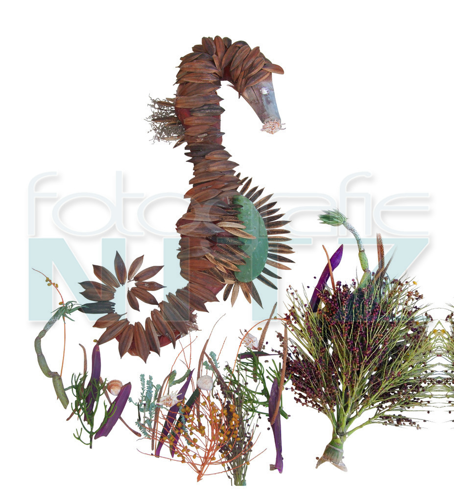 42 | Nitz Fotografie aus Montabaur bietet Ihnen hier die Möglichkeit Bilder auszusuchen und zu bestellen. 