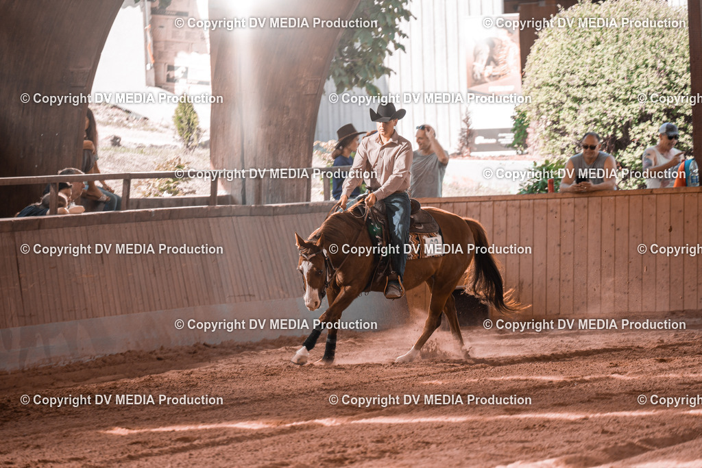 NE201031 | dv-media-shop - Realisiert mit Pictrs.com