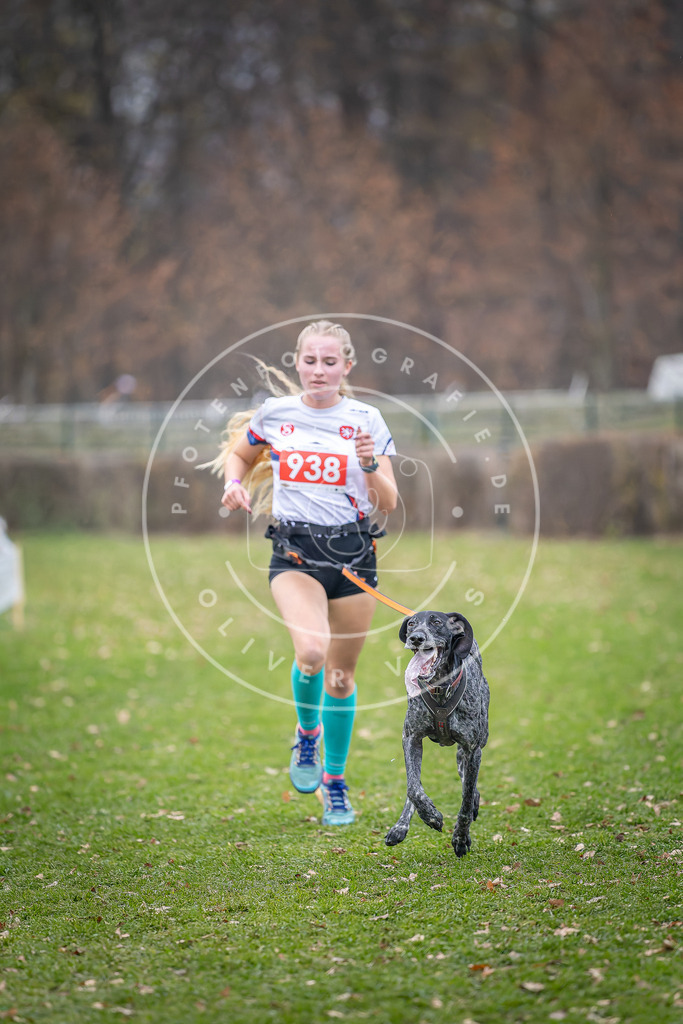 CaniXpix_DV3A7192 | Hundefotografie, Tierfotograf, Pfotenfotografie, Fotoshooting Hund, Hunde Portrait, Hundesport, Hundeportraits, Heideshooting, Hunde, Sportfotograf, Hundefotograf, Turnierhundsport, THS,  - Realisiert mit Pictrs.com