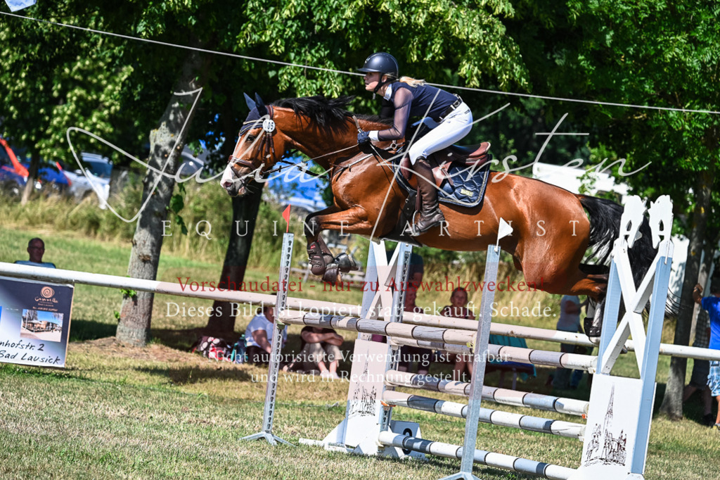 DSC_1611 | Pferde- und Turnierfotografie in Westsachsen. Pferdeportraits, Auftragszeichnungen und intuitive Kunst.