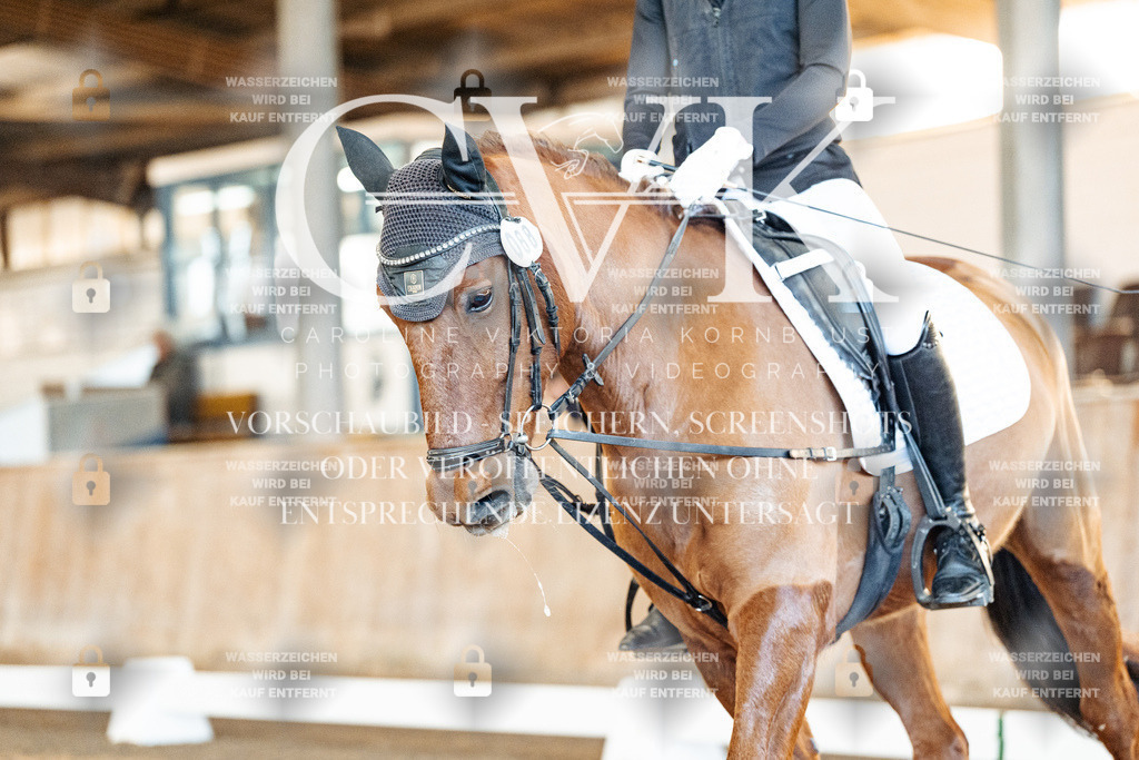 CK907731 | Turnierfotografie Pferdefotografie Trier Rheinland-Pfalz Pferdesport Reitsport Tierfotografie Sportfotografie Pferdevideo Pferdevideografie Equestrianvideography equestrianphotography  - Realisiert mit Pictrs.com