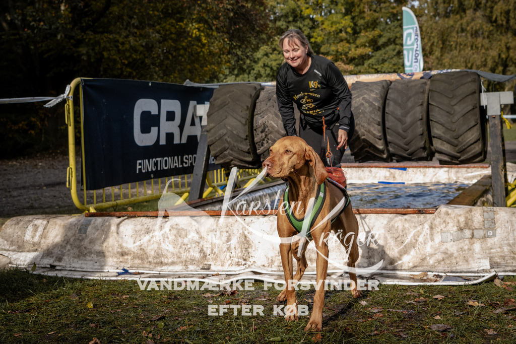 1400_ZZ93679 | kk-dogfotos