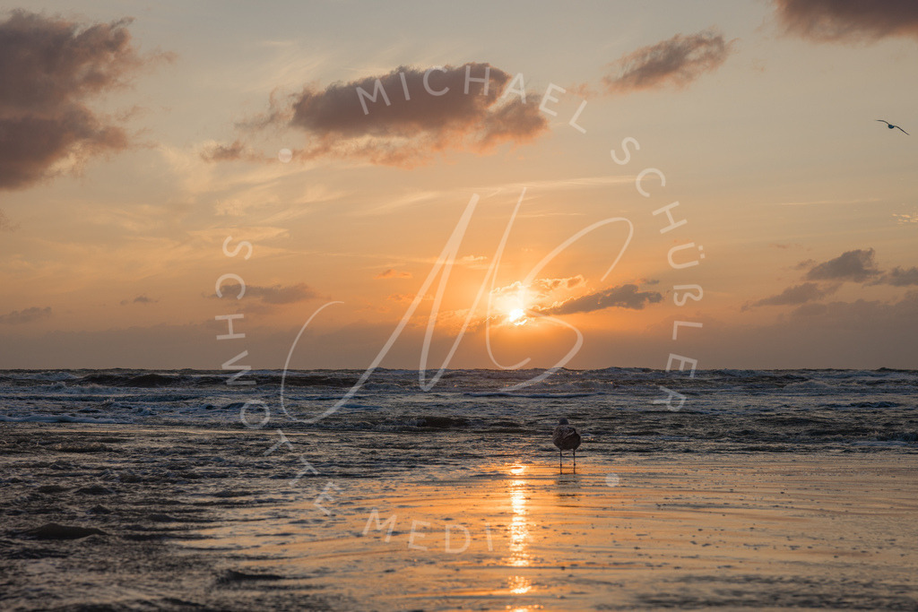 2024-08-23 SPO Sturmflut 107 | Schwotte Media - Realisiert mit Pictrs.com