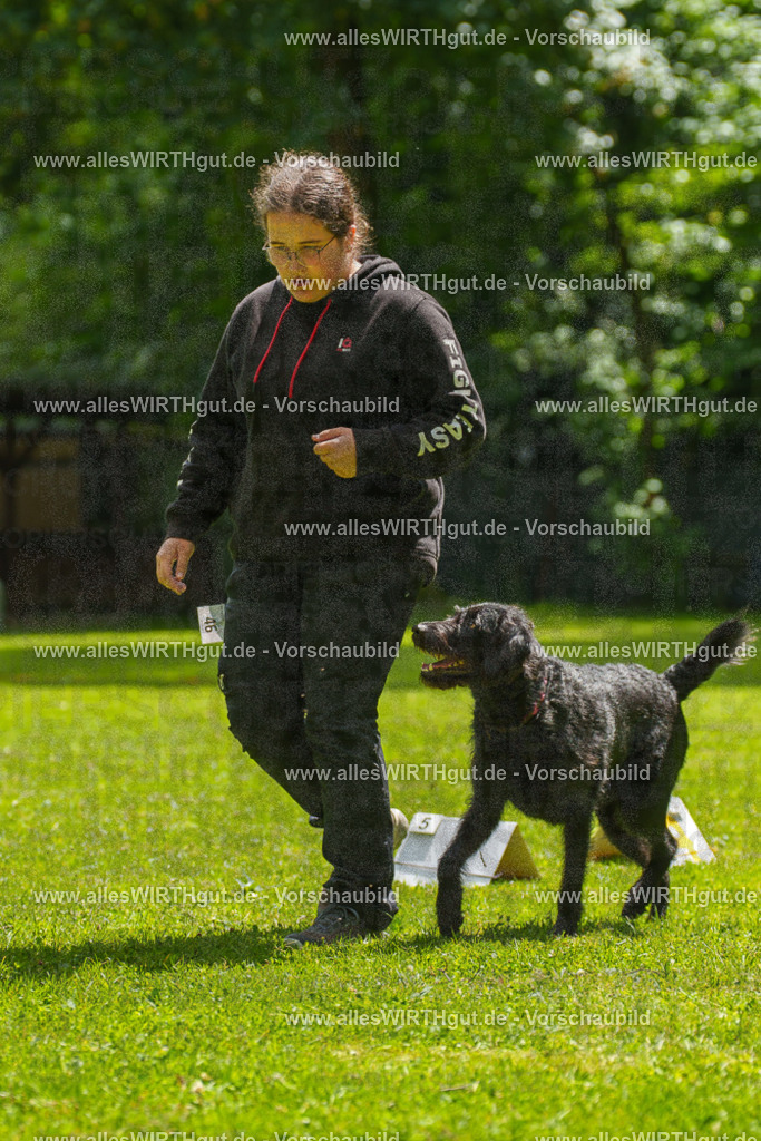 @allesWIRTHgut_Tierfotografie - www.allesWIRTHgut.de - 7R505316 | Professionelle Tierfotografie in Mönchengladbach von Daniel Wirth (allesWIRTHgut). Liebevolle & natürliche Bilder von Hunden & Katzen für unvergessliche Erinnerungen.