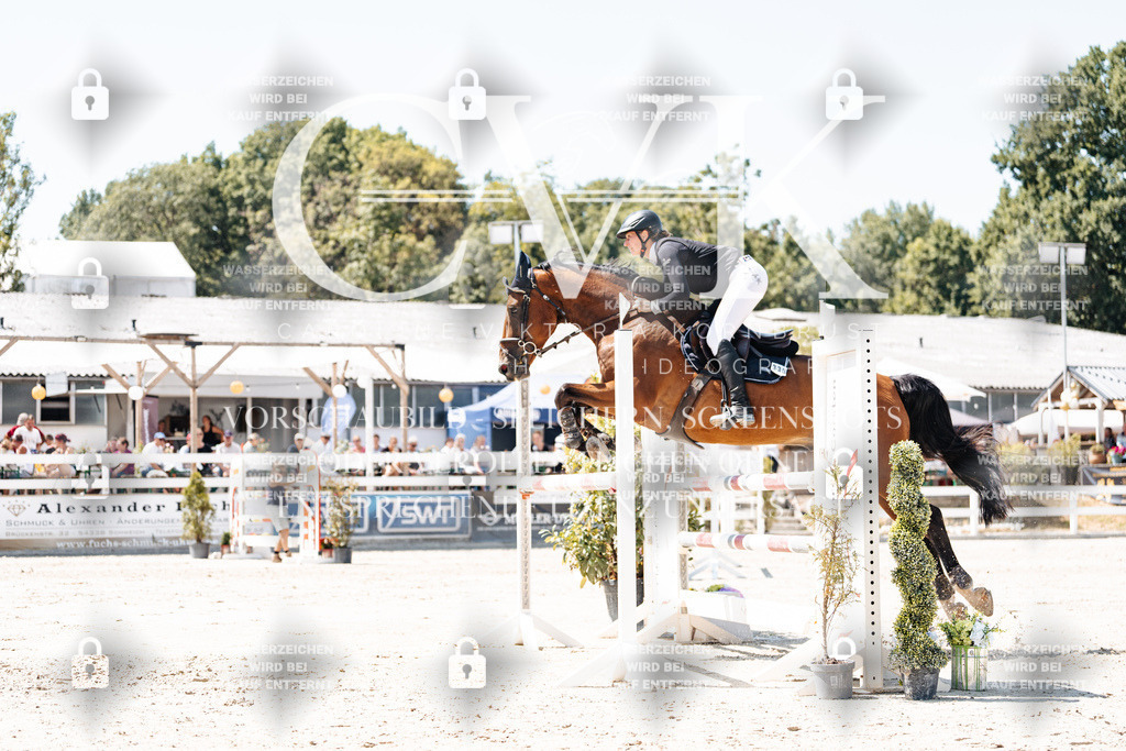 CK909970 | Turnierfotografie Pferdefotografie Trier Rheinland-Pfalz Pferdesport Reitsport Tierfotografie Sportfotografie Pferdevideo Pferdevideografie Equestrianvideography equestrianphotography  - Realisiert mit Pictrs.com