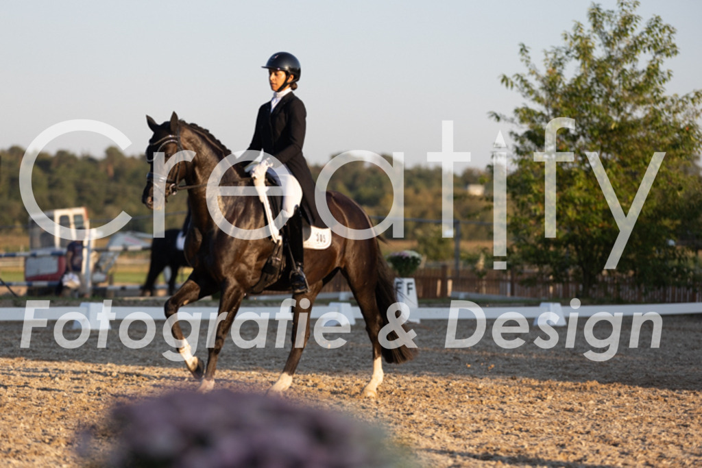 IMG_1664 | Creatify Fotografie