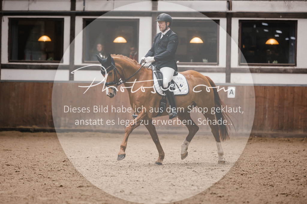3I6A7214 | Stimmungsvolle Portraits und Reitsportfotografie im Ruhrgebiet und im Münsterland.

Pferdefotografie, Hundefotografie, Tierfotografie, Reportagen, Portraits von Tier und Mensch, Turnierfotografie in Bochum, Recklinghausen, Marl, Haltern am See, Dülmen.. - Realisiert mit Pictrs.com