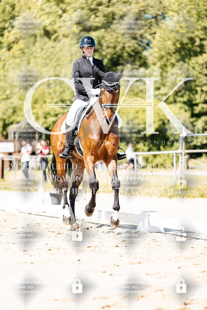 CK905231 | Turnierfotografie Pferdefotografie Trier Rheinland-Pfalz Pferdesport Reitsport Tierfotografie Sportfotografie Pferdevideo Pferdevideografie Equestrianvideography equestrianphotography  - Realisiert mit Pictrs.com
