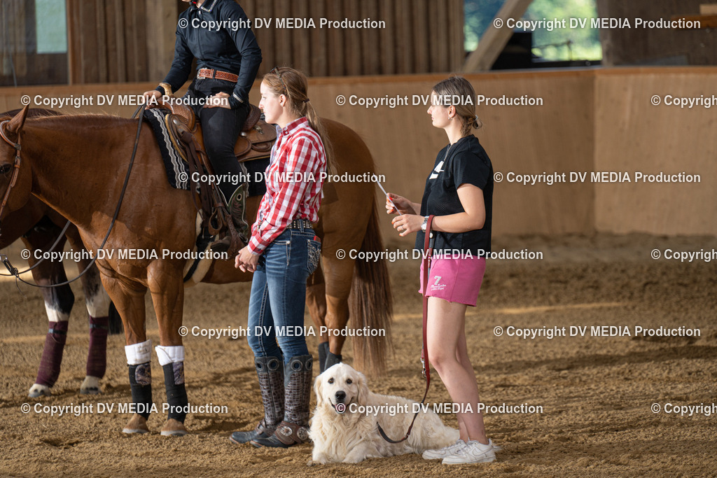 DSC00056 | dv-media-shop - Realisiert mit Pictrs.com