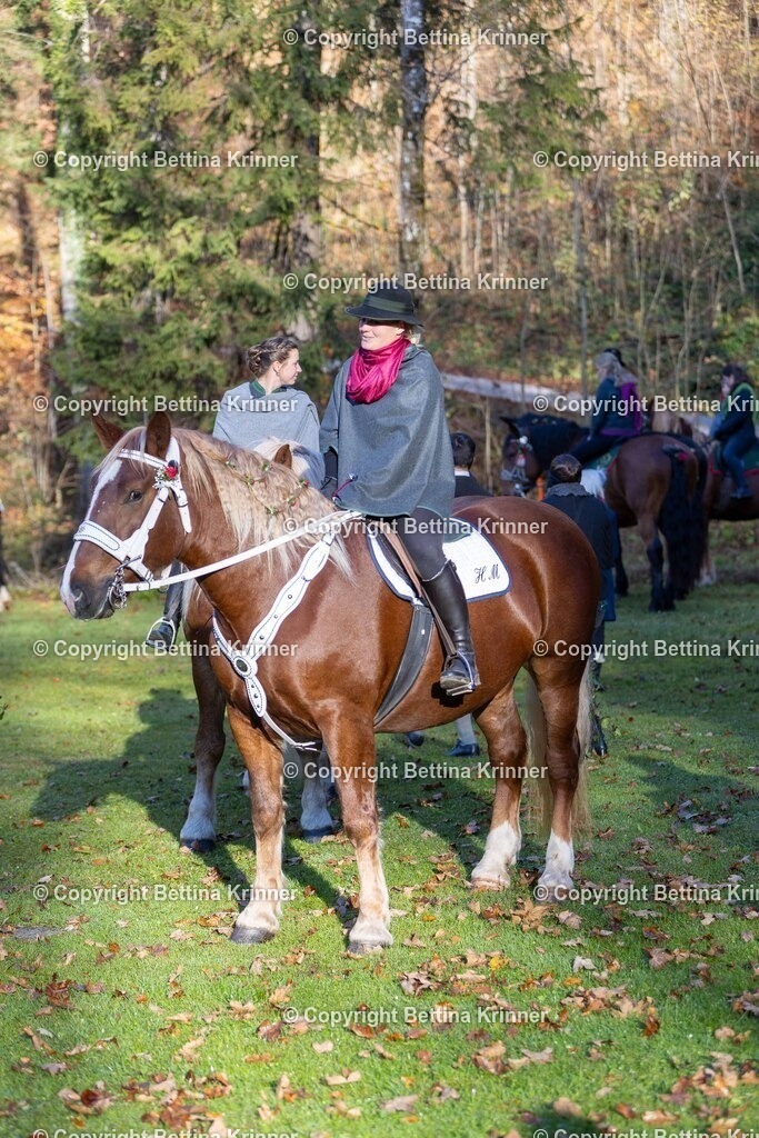 LL24-242 | foto-bettina-krinner - Realisiert mit Pictrs.com