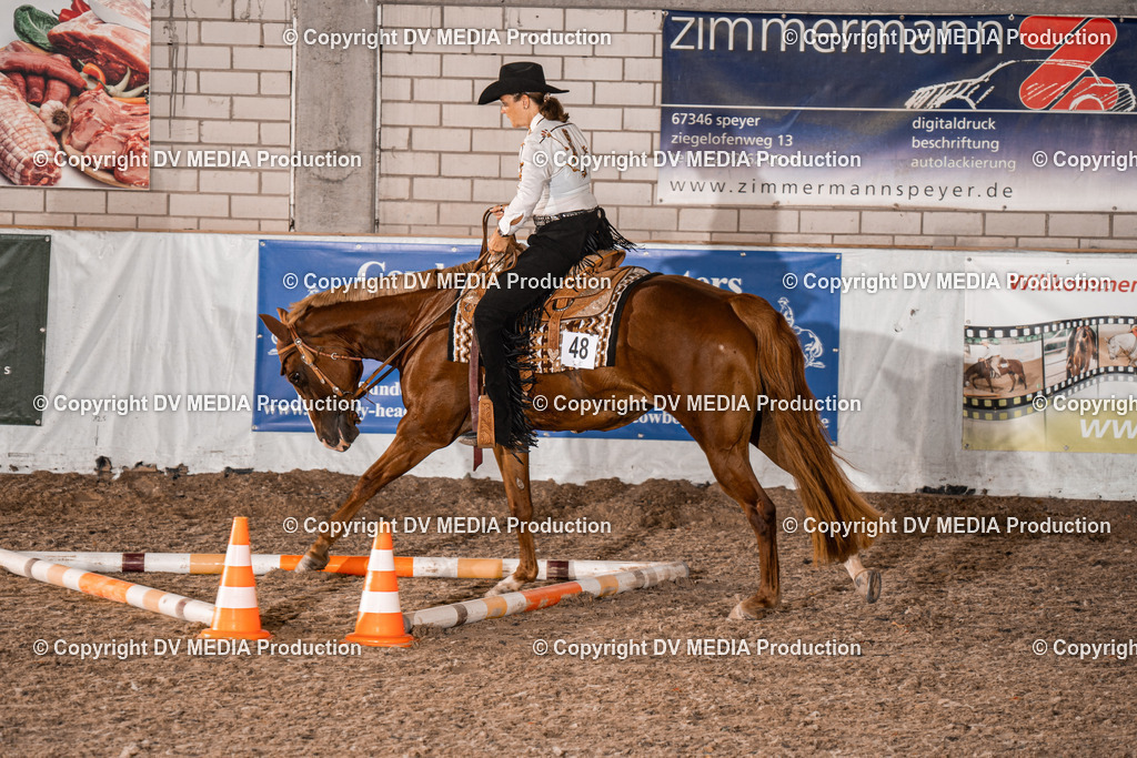 ZH200526 | dv-media-shop - Realisiert mit Pictrs.com