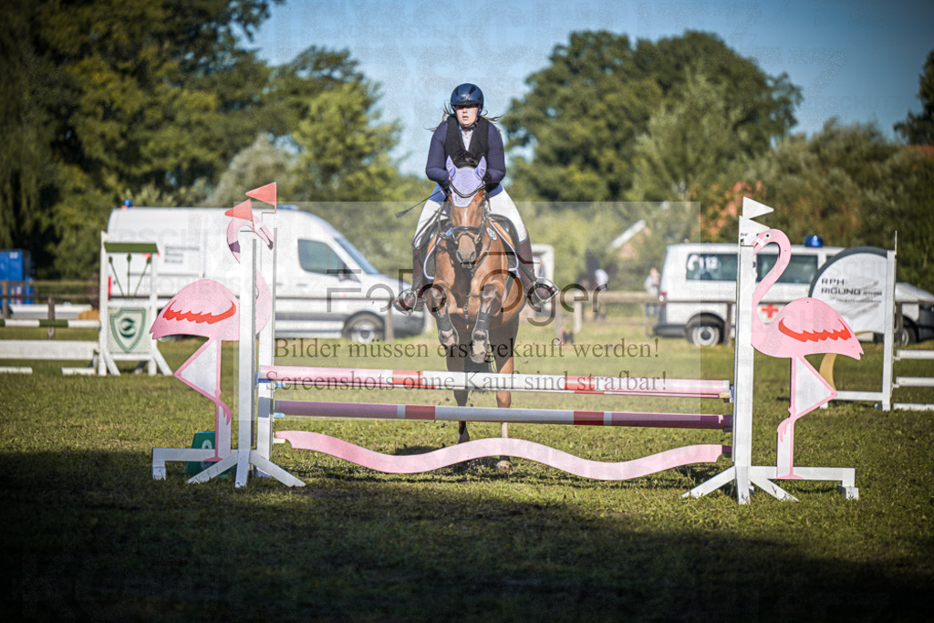 DOS_0656 | Entdecke hochwertige Reitturnierfotos von Foto Oger. Professionell, emotional und authentisch – jetzt Lieblingsmomente im Shop bestellen.Deutschlandweite Turnierfotografie. - Realisiert mit Pictrs.com