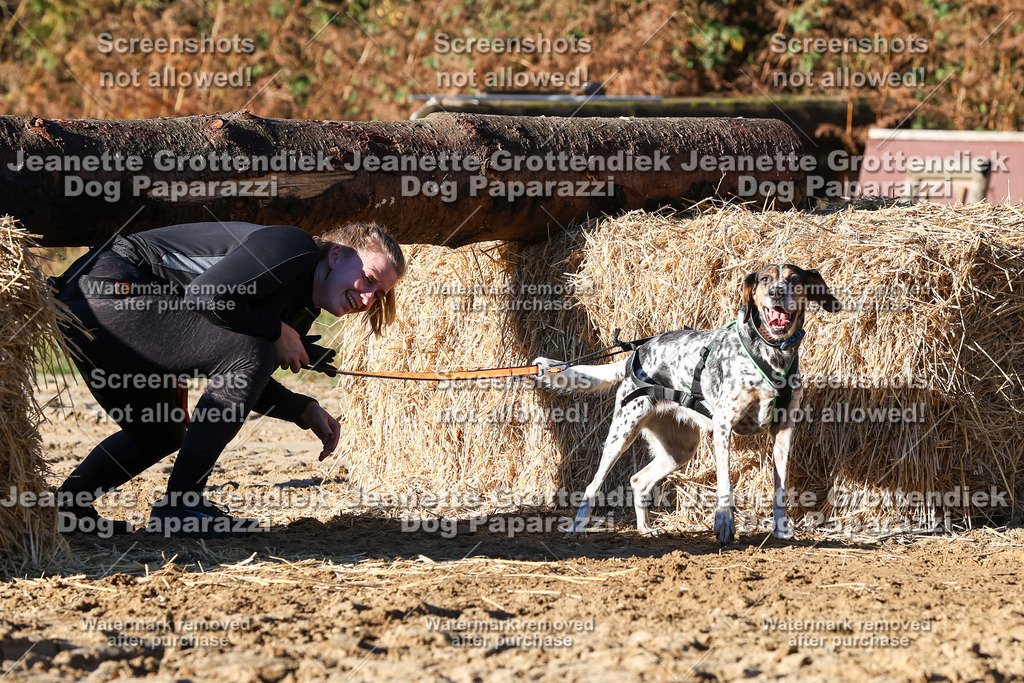 Dog Paparazzi - Strongdog 10-25-1602 | Dog Paparazzi Jeanette Grottendiek Fotografie & Videografie - Realisiert mit Pictrs.com
