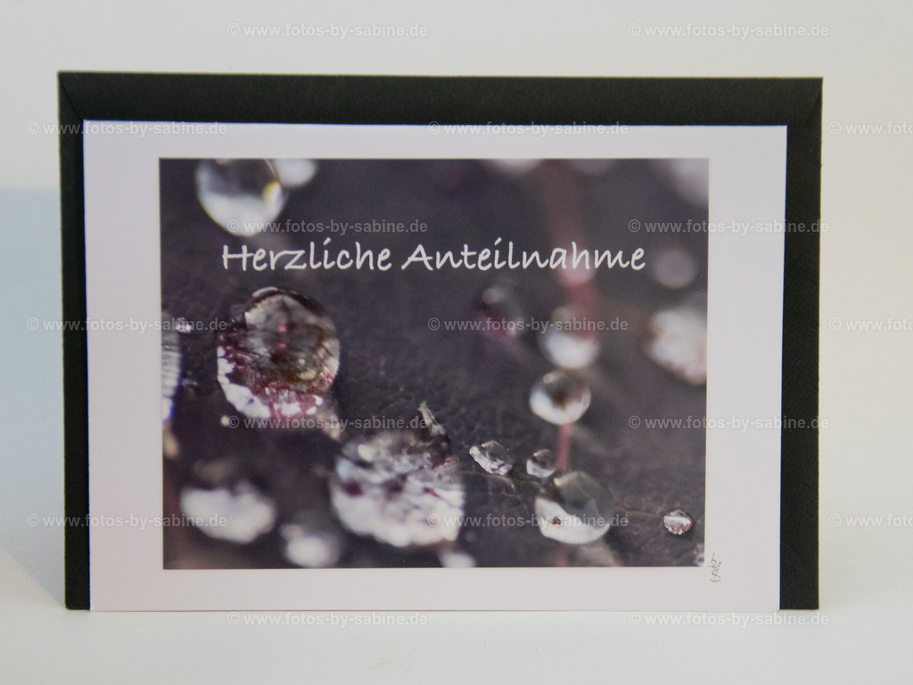 DSC_9076 | fotos-by-sabine - Realisiert mit Pictrs.com