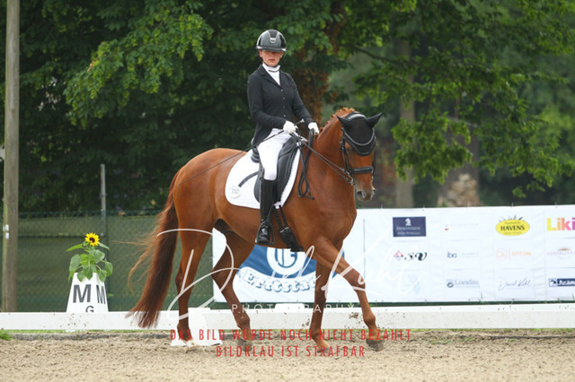 DKP40107 | Turniersportfotografie; Pferdefotografie; Dressurfotografie