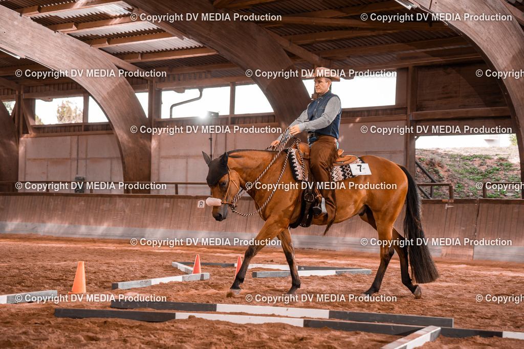 NE200182 | dv-media-shop - Realisiert mit Pictrs.com