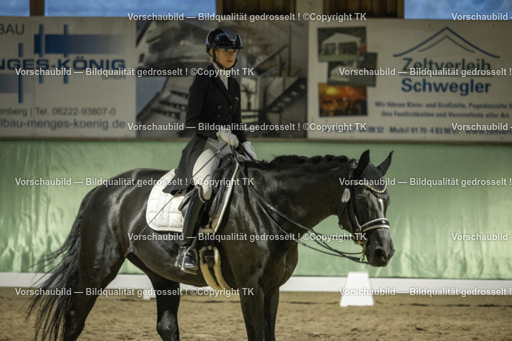 _D5A7383 | Emotionale Pferde- & People-Fotografie rund um Heidelberg, Leimen & Umgebung. Natürliche Fotos von Pferd, Mensch & Familie. Jetzt Termin sichern!