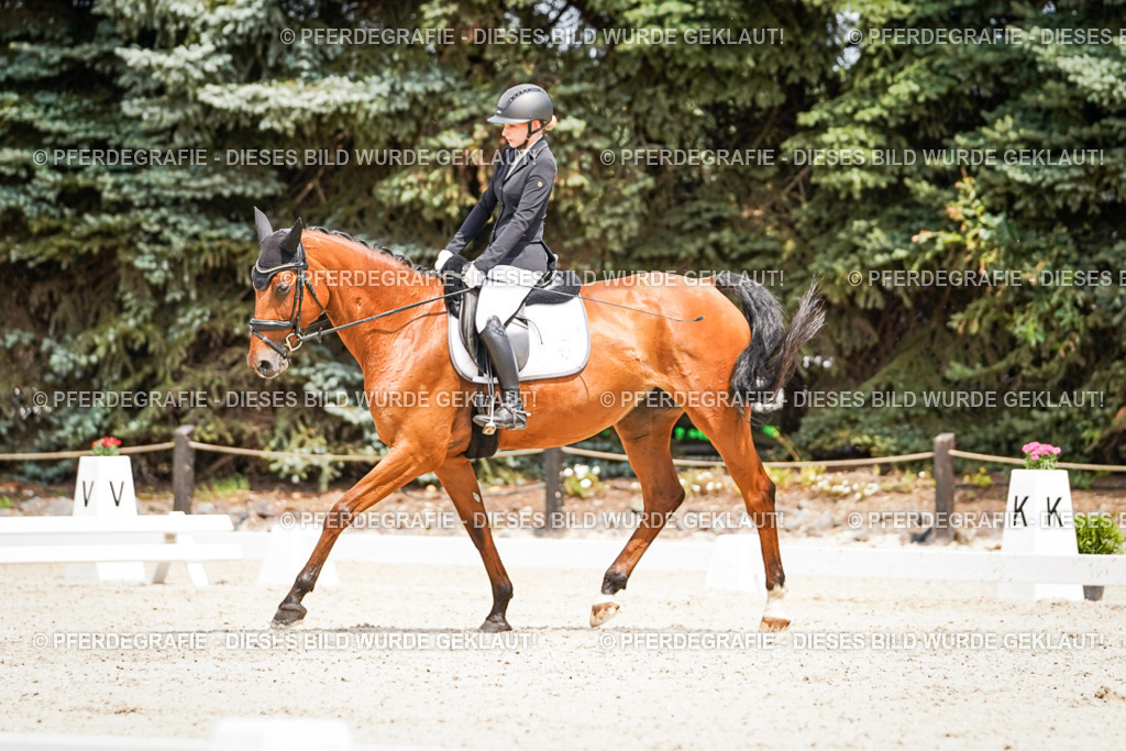 DSC03397 | Pferdegrafie