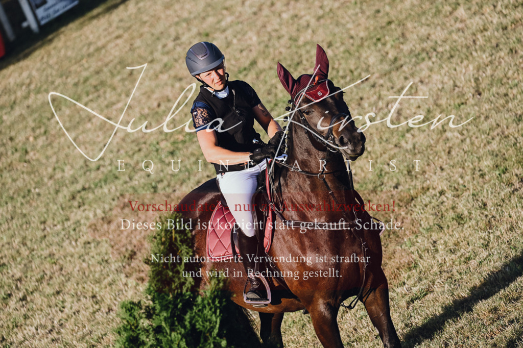 DSC_3228 | Pferde- und Turnierfotografie in Westsachsen. Pferdeportraits, Auftragszeichnungen und intuitive Kunst.