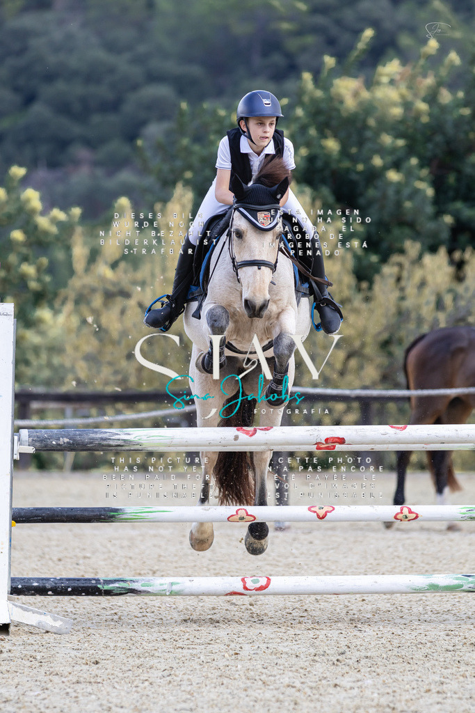 IMG_6185 | s-jay-photography - Realisiert mit Pictrs.com