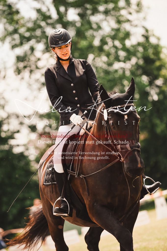 DSC_6179 | Pferde- und Turnierfotografie in Westsachsen. Pferdeportraits, Auftragszeichnungen und intuitive Kunst.
