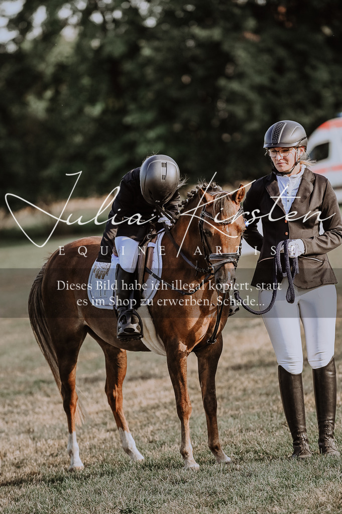 DSC_0122 | Pferde- und Turnierfotografie in Westsachsen. Pferdeportraits, Auftragszeichnungen und intuitive Kunst.