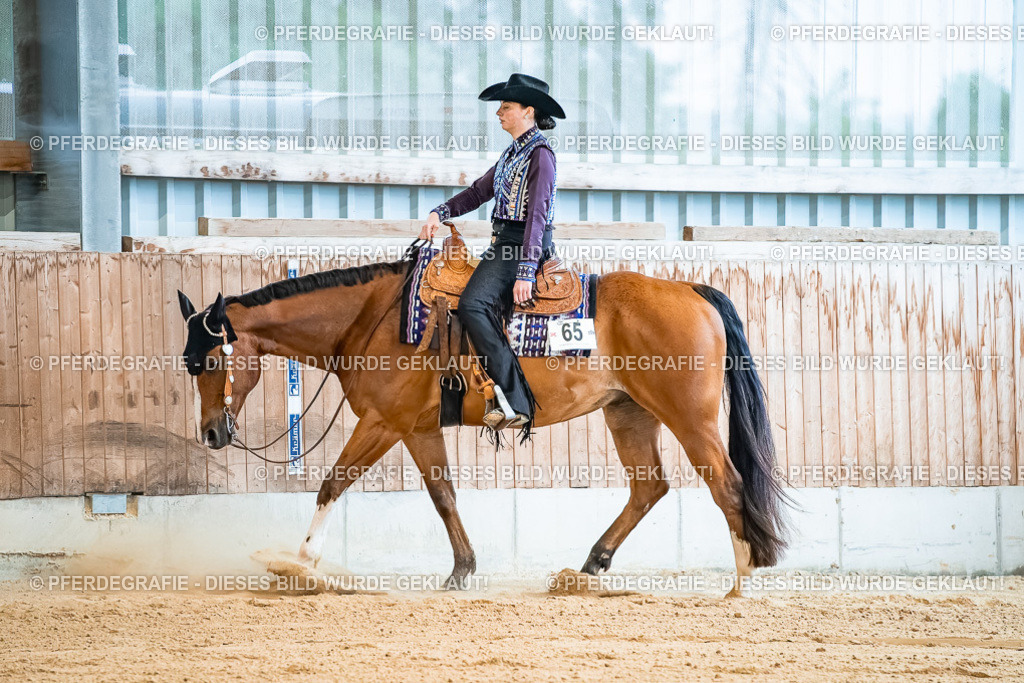 DSC09951 | Pferdegrafie