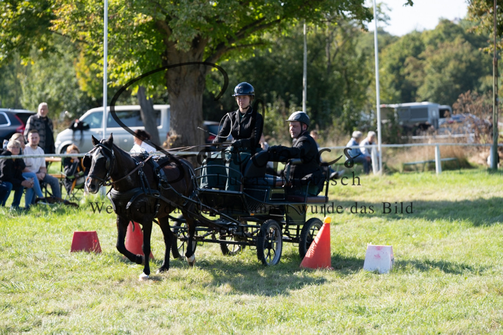 A7V04370 | Pferdefotograf