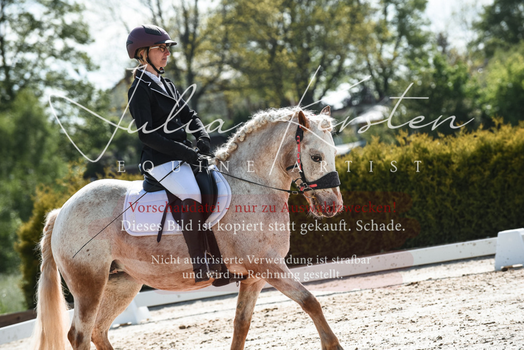 20230518_JK-Röhrsdorf-09-1567 | Pferde- und Turnierfotografie in Westsachsen. Pferdeportraits, Auftragszeichnungen und intuitive Kunst.