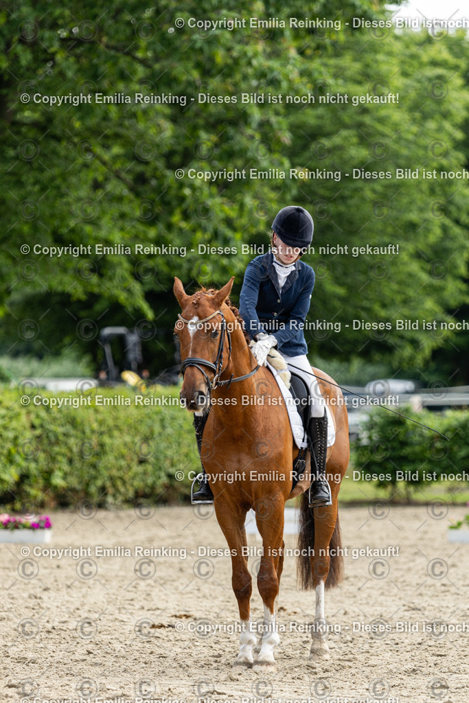 CL5A5150 | Emilia Reinking Fotografie - Realisiert mit Pictrs.com