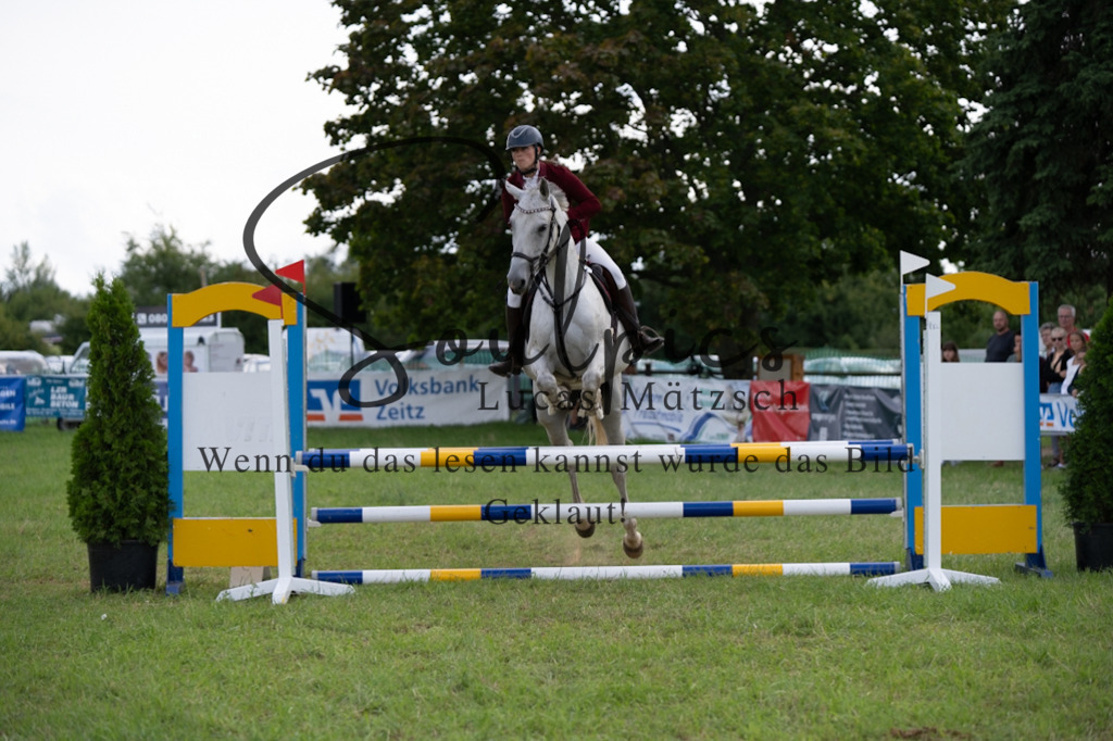 A7V04608 | Pferdefotograf