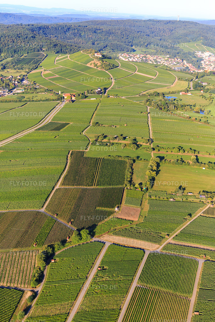 Luftbild: Weinberge in Bönnigheim im Bundesland Baden-Württemberg in Deutschland. Foto: IMG_093823.jpg vom 23.08.2016 durch Werner Riehm/FLY-FOTO.de