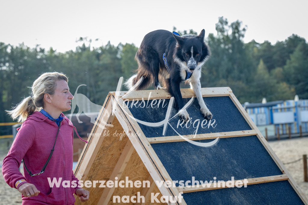0940_ZZ92642 | kk-dogfotos