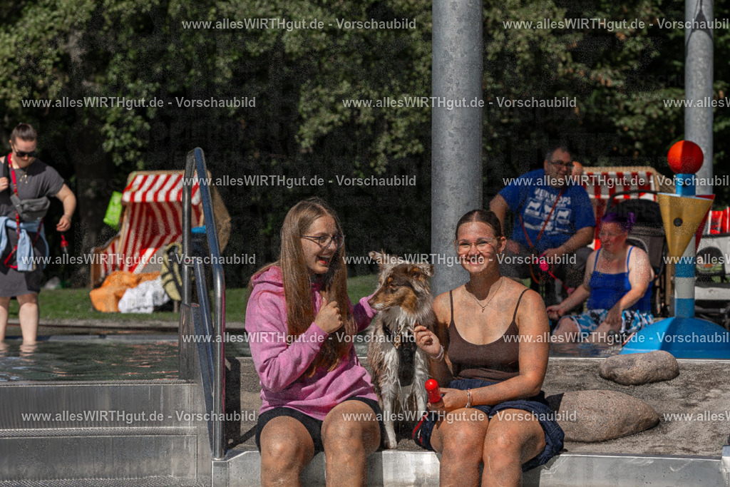 Hundeschwimmen_Volksbad_2026-allesWIRTHgut_Tierfotografie-2609061403-FAY06877 | Professionelle Tierfotografie in Mönchengladbach von Daniel Wirth (allesWIRTHgut). Liebevolle & natürliche Bilder von Hunden & Katzen für unvergessliche Erinnerungen.