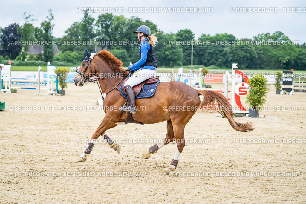 DSC03675 | Pferdegrafie