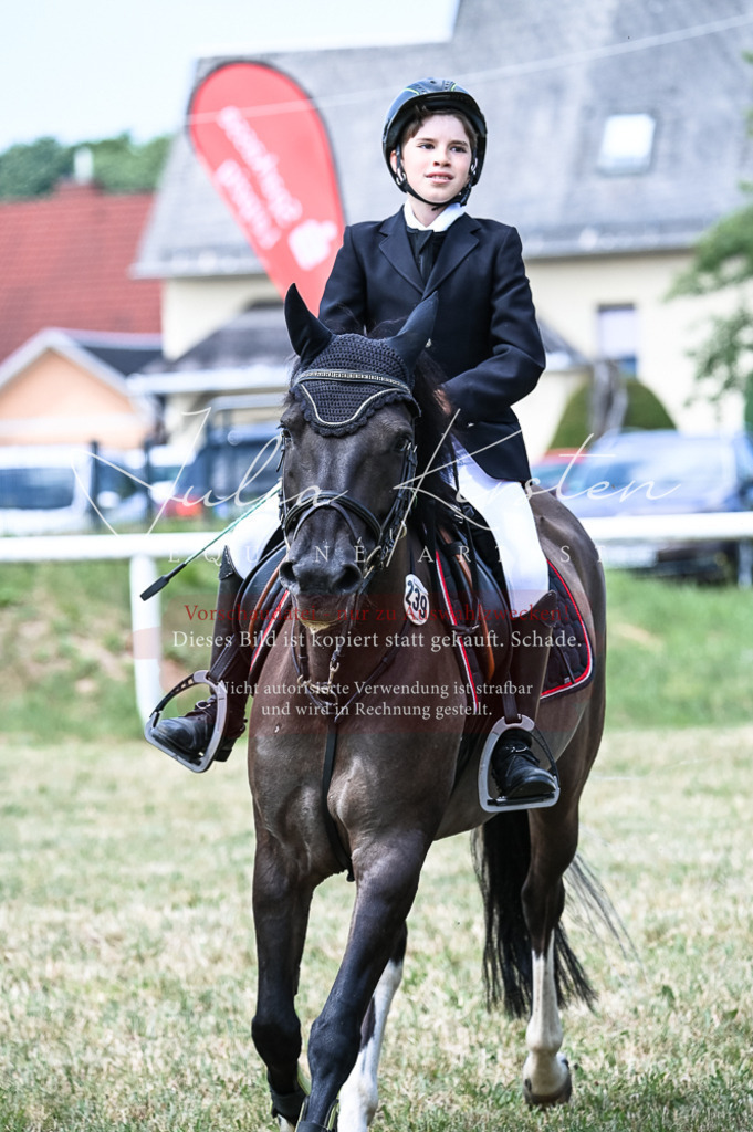 DSC_9780 | Pferde- und Turnierfotografie in Westsachsen. Pferdeportraits, Auftragszeichnungen und intuitive Kunst.