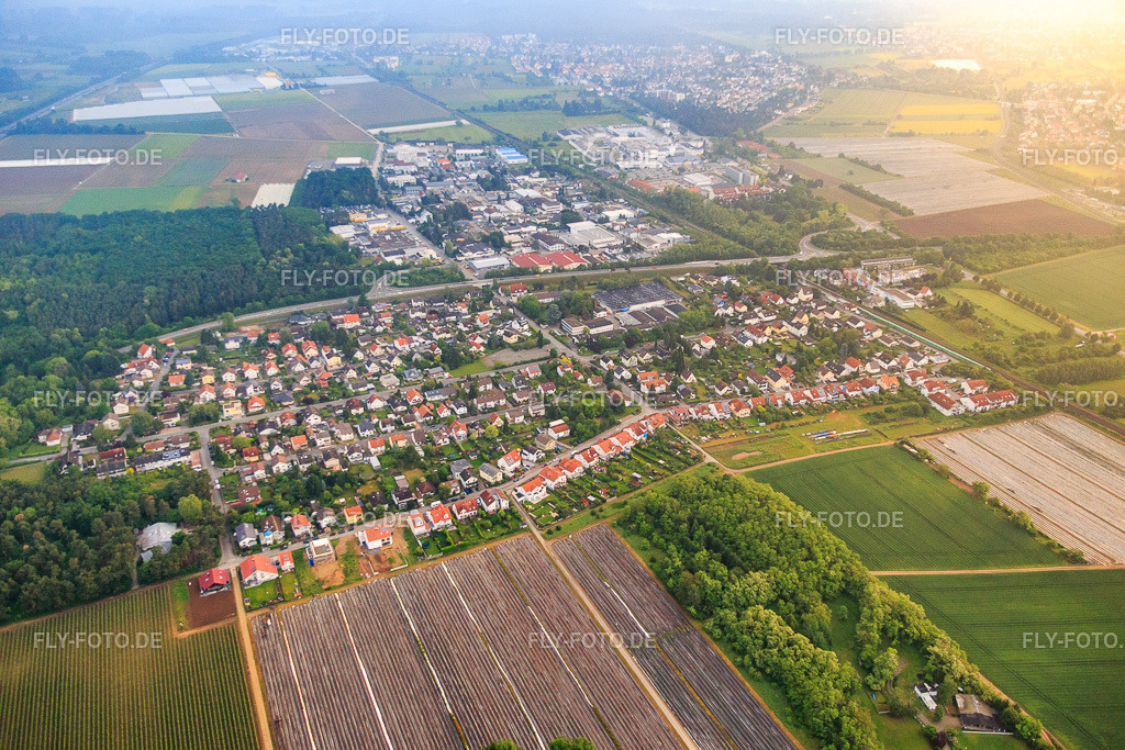 Mainstr | Luftbild: Mainstr im Ortsteil Sandwiese in Alsbach-Hähnlein im Bundesland Hessen in Deutschland. Foto: IMG_089147.jpg vom 25.05.2016 durch Werner Riehm/FLY-FOTO.de - Realisiert mit Pictrs.com