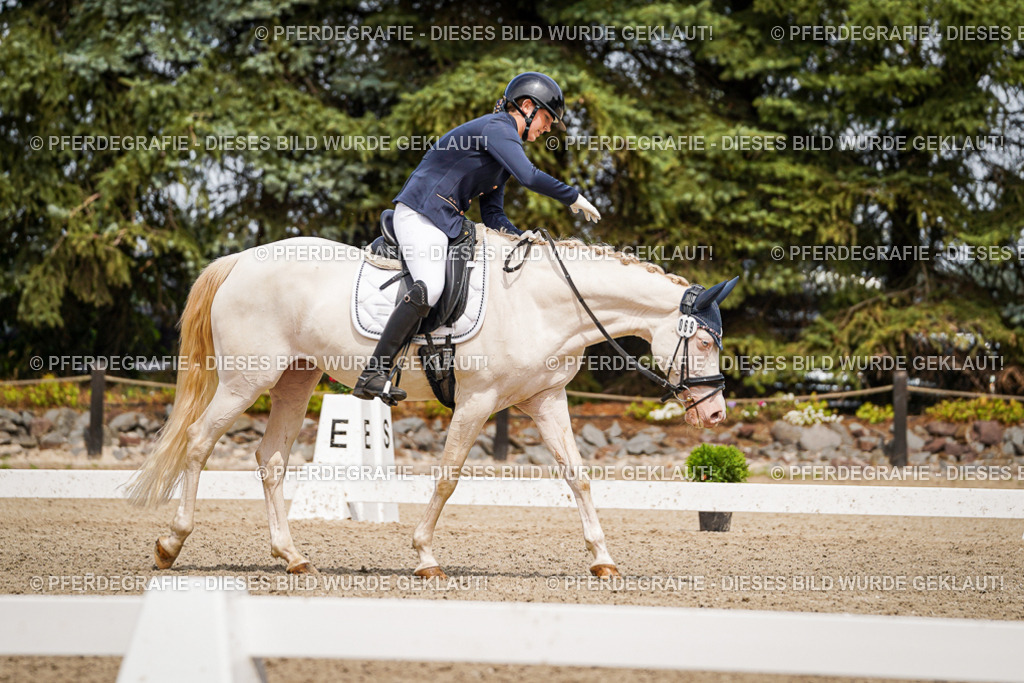 DSC04470 | Pferdegrafie