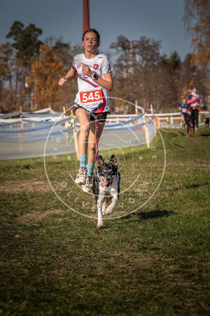 CaniXpix_0L8A7661 | Hundefotografie, Tierfotograf, Pfotenfotografie, Fotoshooting Hund, Hunde Portrait, Hundesport, Hundeportraits, Heideshooting, Hunde, Sportfotograf, Hundefotograf, Turnierhundsport, THS,  - Realisiert mit Pictrs.com