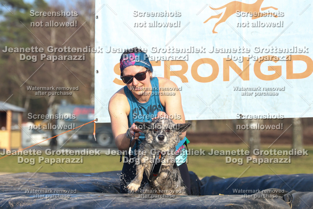 Dog Paparazzi - Strongdog North Mrz26-3592 | Dog Paparazzi Jeanette Grottendiek Fotografie & Videografie - Realisiert mit Pictrs.com