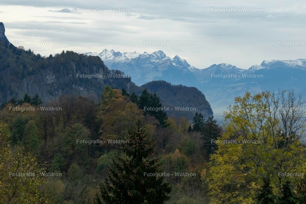 20221109 Rappenlochschlucht Dornbirn-21 | Fotografie Woldron