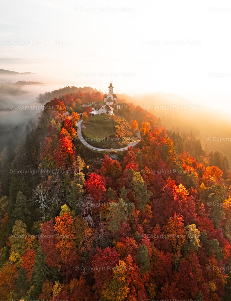 Sternberg_Herbst-87 | piet_flosse