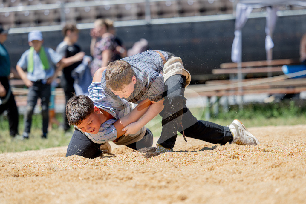 SchwyzerJung2026_00024 | Die Schwinger des Schwyzer Kantonalen Schwingerverbandes: Fotos, die Dynamik und Leidenschaft festhalten, sowie emotionale Momente aus dem traditionellen Schwingsport zeigen. - Realisiert mit Pictrs.com